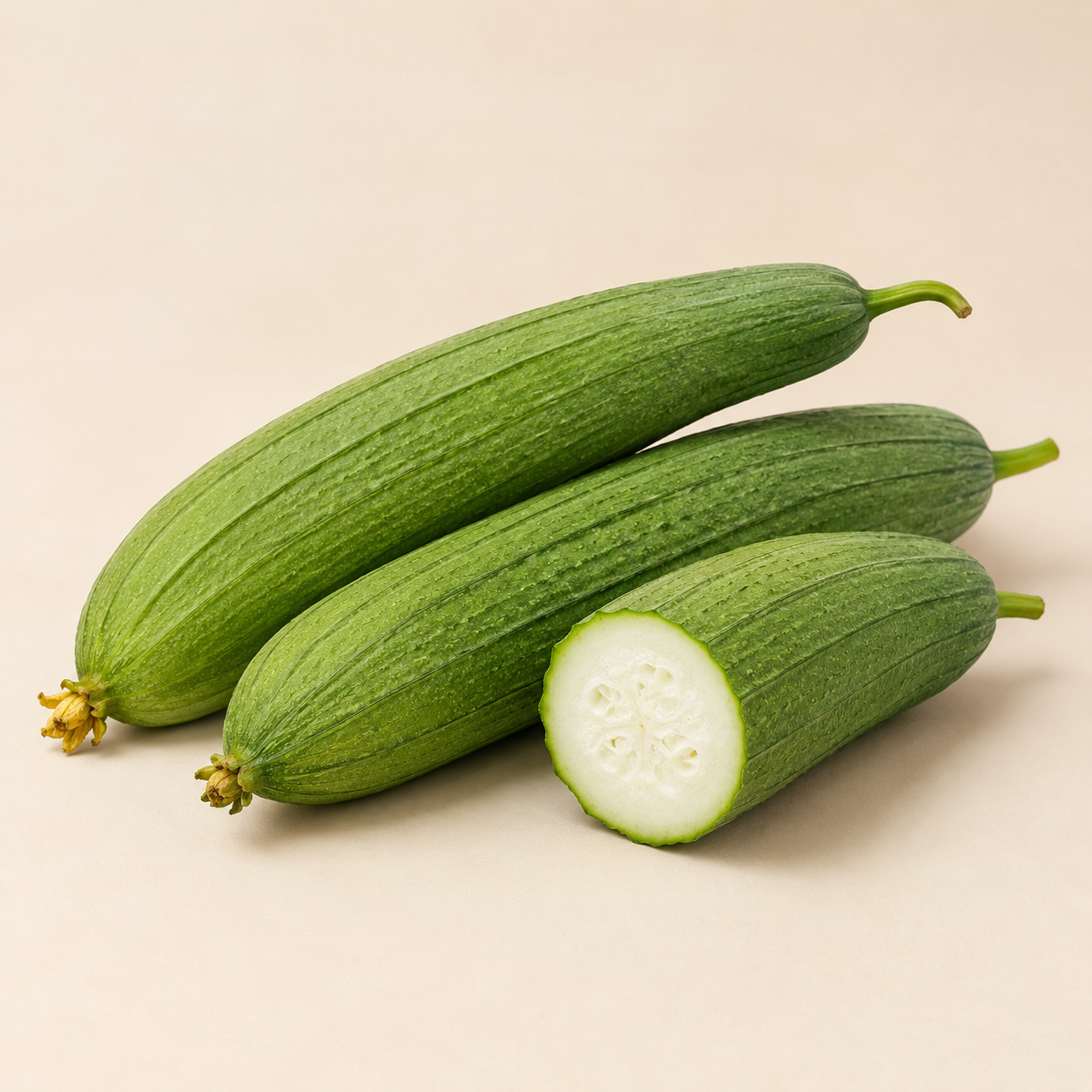 Sponge Gourd